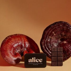 Buy Alice Mushrooms NightCap